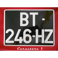 Plaque minéralogique noire 275x200 caractère 1