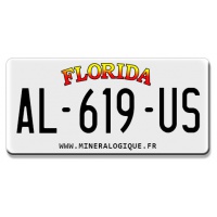 plaque américaine Floride