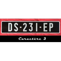 plaque d'immatriculation noire 520x110 205 gti